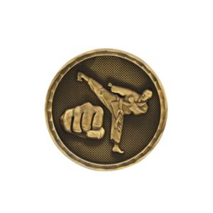 Taekwondo challenge coins